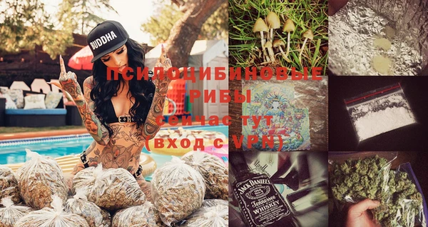прущий лед Алексин