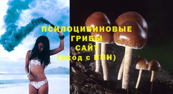 прущий лед Алексин