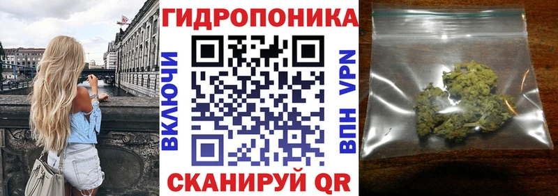 Бошки Шишки конопля  где купить наркотик  Амурск 